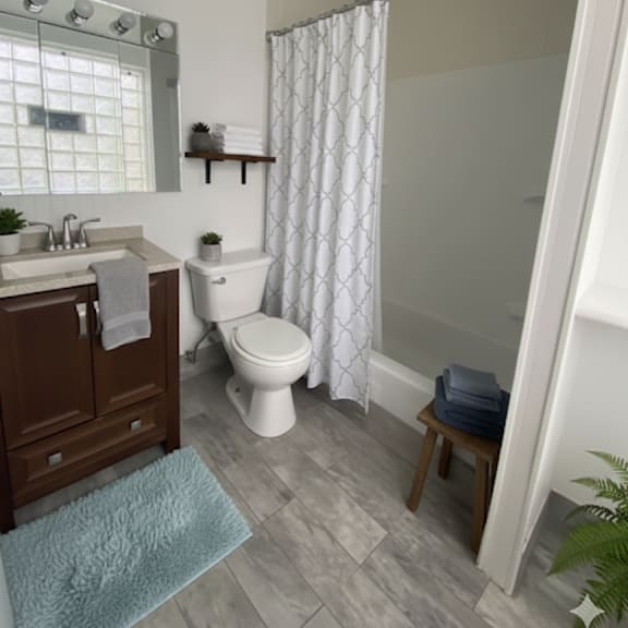 a bathroom with a white toilet and a blue rug.