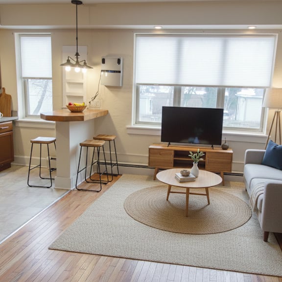 a living room with a television, a coffee table, and a rug.