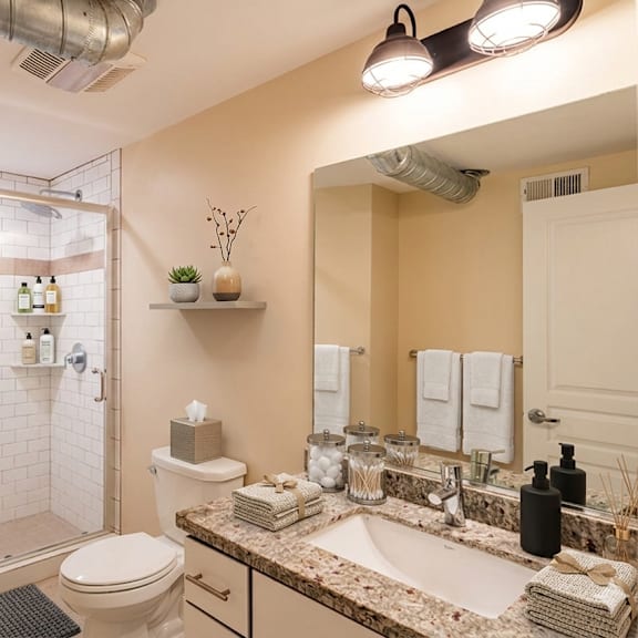a bathroom with a walk-in shower, toilet, and sink.