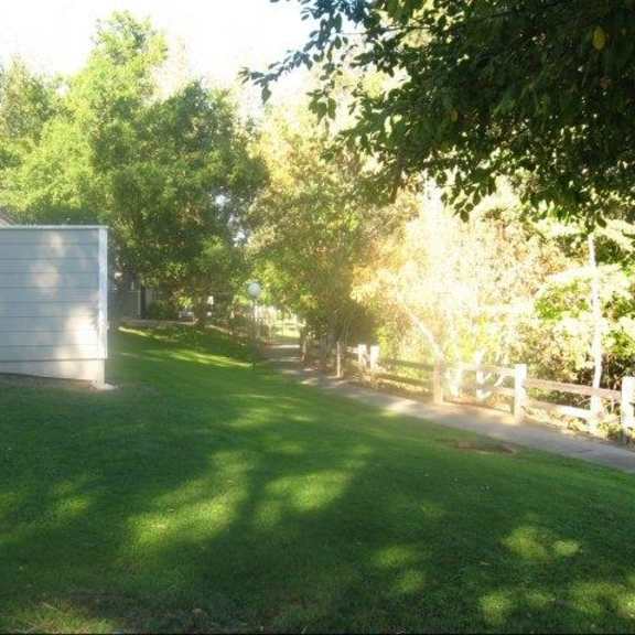 outdoor grassy area