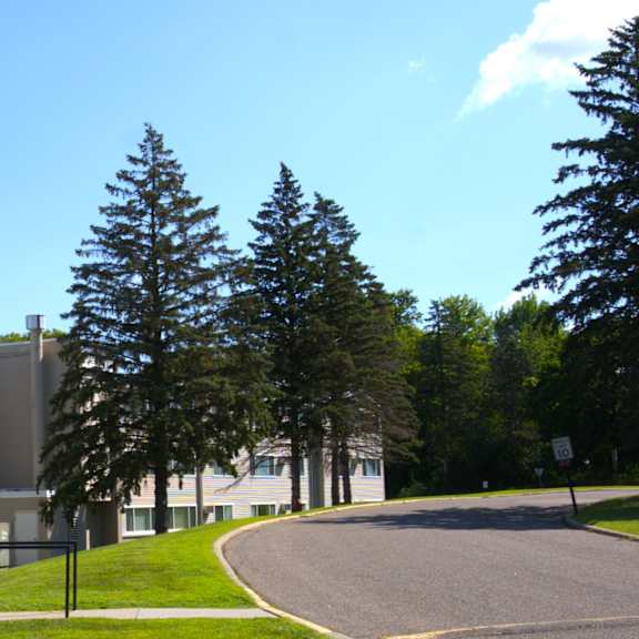 a road curves around a grassy area with trees and apartment buildings in the background.