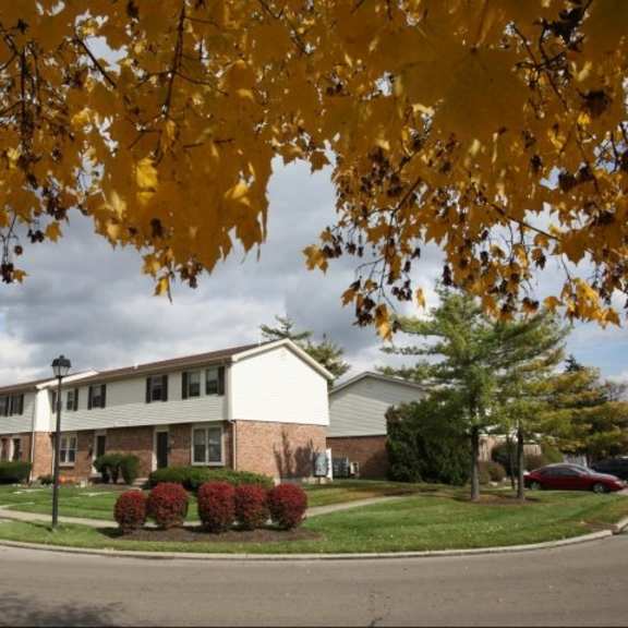 landscaping and chevy chase buildings