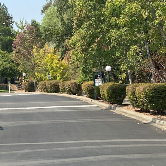 beautiful landscaping