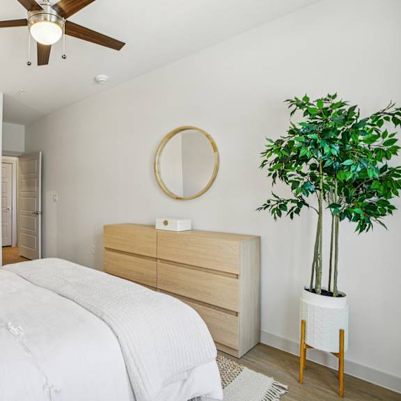 Thumbnail 25 of 37 A bedroom with a bed, dresser, mirror, and plant. at ThreeTwenty at the Vybe Apartments, Kyle, 78640