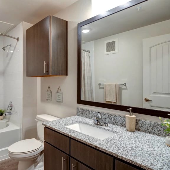 Thumbnail 10 of 15 Granite Counters and Framed Mirrors in North Austin