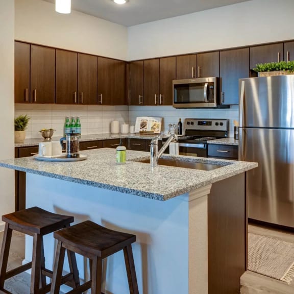 Thumbnail 5 of 15 Stainless Steel Appliances at Bridge at Paloma in Austin, TX