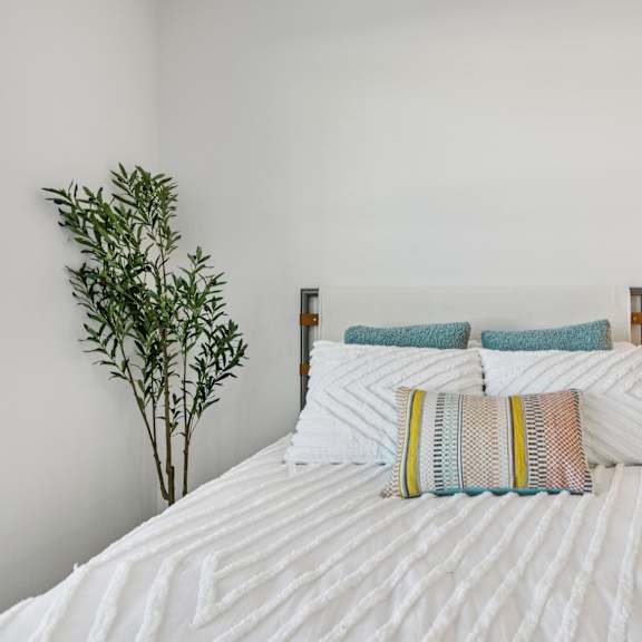 Thumbnail 21 of 23 A bed with a white comforter and striped pillows is in a room with a lamp and a plant. at ThreeTwenty at the Vybe Apartments, Kyle, Texas