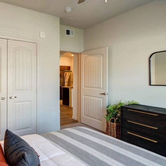 Thumbnail 9 of 15 Ceiling Fans in Every Room at Bridge at Paloma Apartments