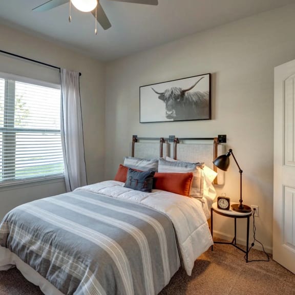 Thumbnail 8 of 15 Light and Bright Interiors at Bridge at Paloma Apartments