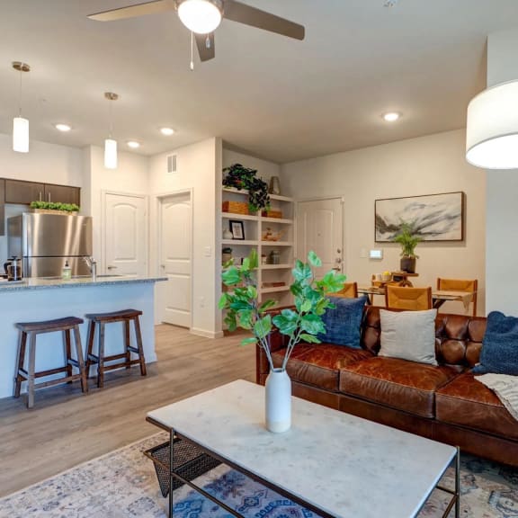 Thumbnail 3 of 15 Open Concept Layouts at Bridge at Paloma in 78754