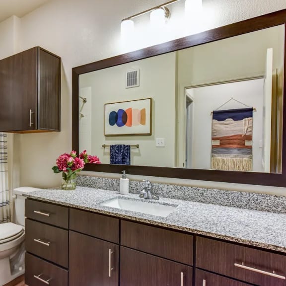Thumbnail 11 of 11 Bathroom vanity with granite countertop and wood cabinetry 1 at High Point Preserve Apartments, Texas, 78724