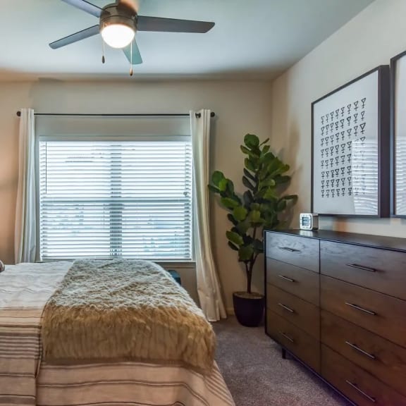 Thumbnail 5 of 11 Bedroom With Plenty Of Natural Lights at Paloma, Austin