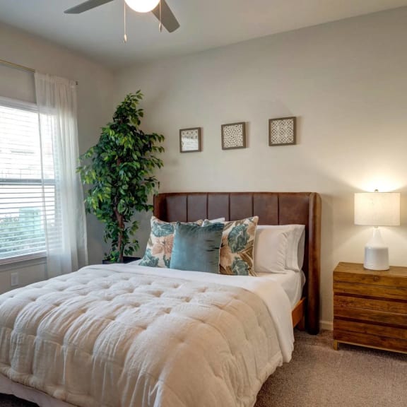 Thumbnail 11 of 15 Spacious Bedrooms in Northeast Austin 78754