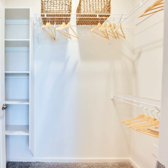 Thumbnail 15 of 16 Walk-In Closets at Bridge at Delco Flats, Austin Texas