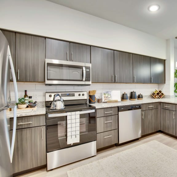 Thumbnail 5 of 16 Stainless Steel Appliances at Bridge at Delco Flats, Austin Texas