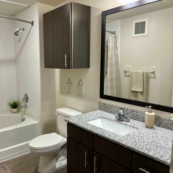 Thumbnail 9 of 16 Bathroom with tub shower combo and dark wood vanity 1 at High Point Preserve Apartments, Texas, 78724