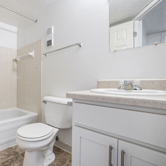Thumbnail 12 of 14 a bathroom with a sink toilet and a bath tub at Apple Ridge Apartments, Michigan, 49534