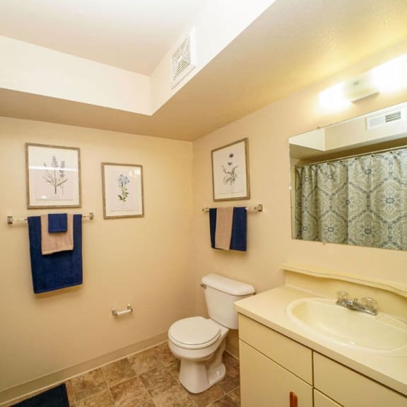Thumbnail 10 of 13 a bathroom with a sink toilet and a shower  at Arbor Lakes Apartments, Indiana