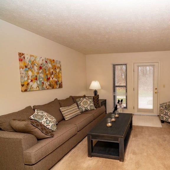 Thumbnail 8 of 13 a living room with a couch and a television  at Arbor Lakes Apartments, Indiana, 46516