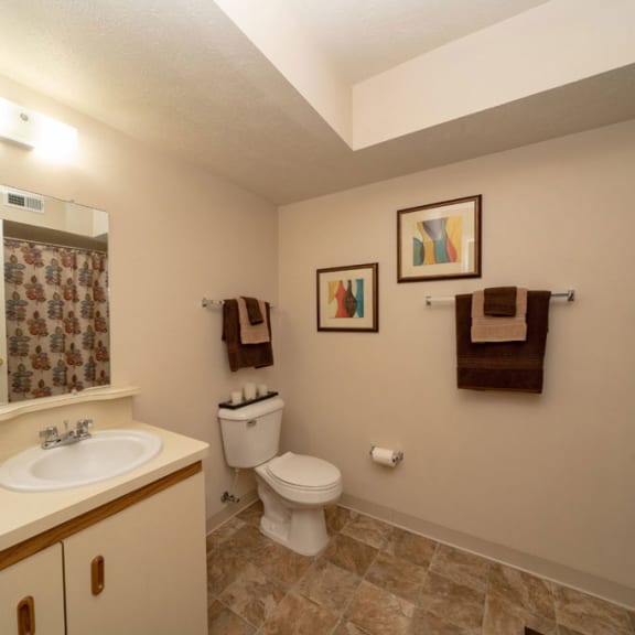 Thumbnail 6 of 7 a bathroom with a sink toilet and a mirror at Autumn Lakes Apartments and Townhomes, Mishawaka, IN