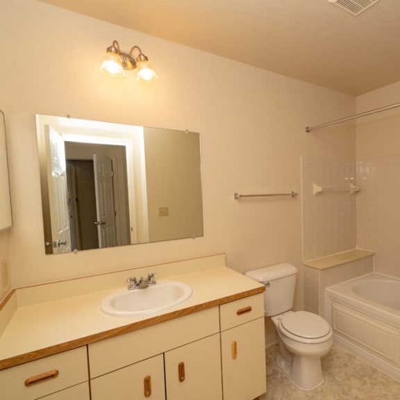 Thumbnail 12 of 14 a bathroom with a sink toilet and a bath tub at Autumn Lakes Apartments and Townhomes, Mishawaka, 46544
