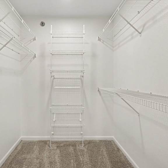 Thumbnail 13 of 18 A white walk-in closet with a carpeted floor and shelving.