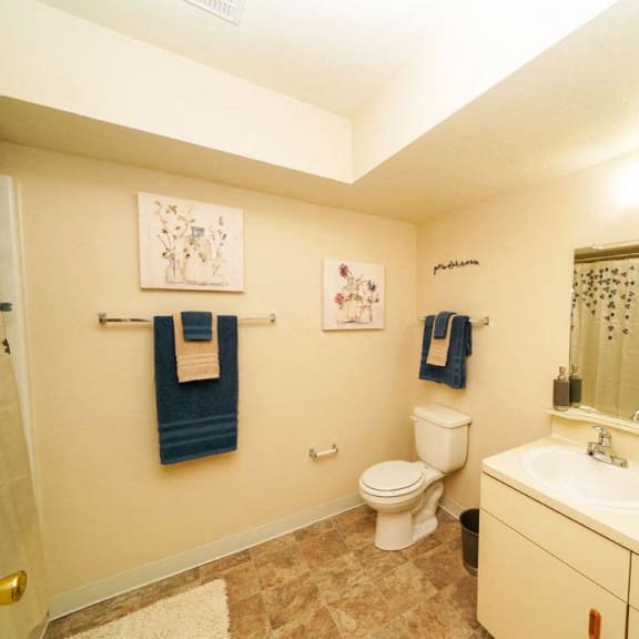 Thumbnail 11 of 14 a bathroom with a toilet and a sink and a mirror at Brentwood Park Apartments, La Vista, NE, 68128