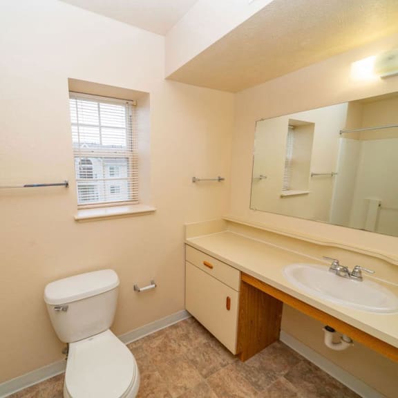 Thumbnail 11 of 12 a bathroom with a toilet and a sink and a mirror at Brentwood Park Apartments, Nebraska, 68128