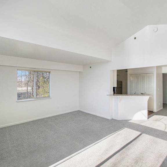 Thumbnail 5 of 12 An end style living room with a cathedral ceiling  and carpeted floor and a window at Brentwood Park Apartments, La Vista, 68128