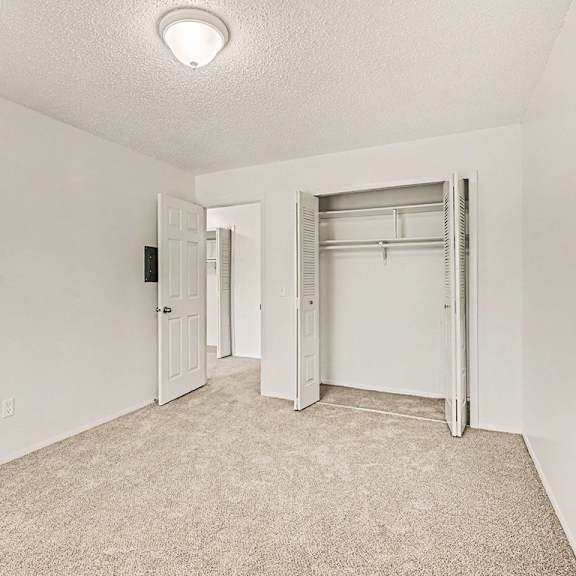 Thumbnail 19 of 19 A white room with a carpeted floor and a doorway leading to another room.