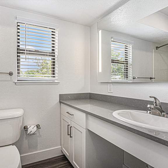 Thumbnail 12 of 14 A bathroom with a window at Byron Lakes Apartments, Michigan, 49315