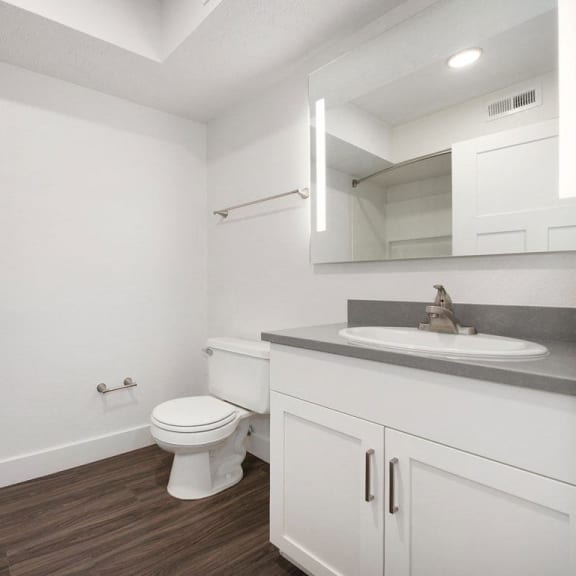 Thumbnail 14 of 19 a renovated bathroom with a sink and a toilet at Byron Lakes Apartments in Byron Center, MI