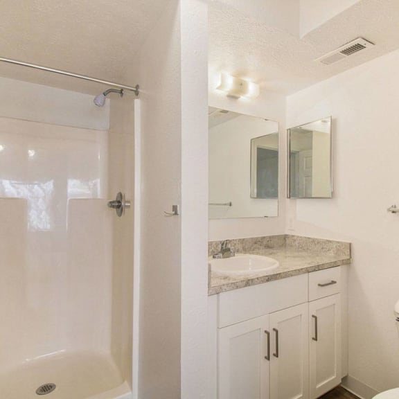Thumbnail 15 of 16 second bathroom with a walk in shower at Canal 2 Apartments in Lansing, MI