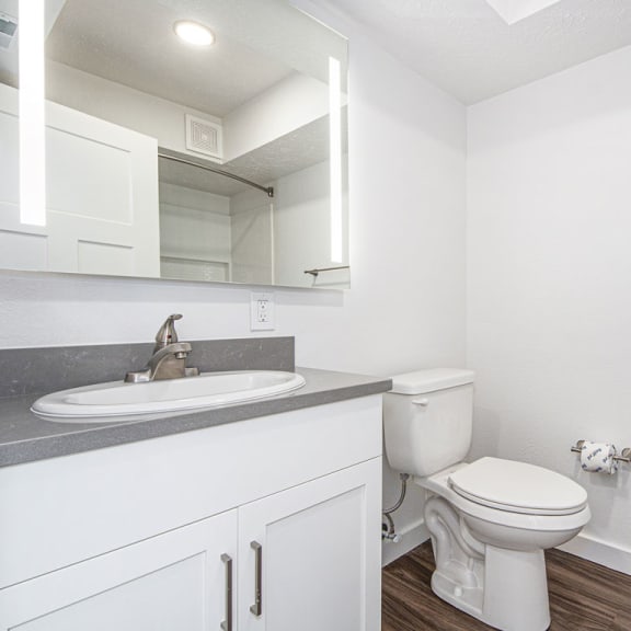 Thumbnail 8 of 15 main bathroom with a lighted mirror at The Crossings Apartments, Michigan, 49508