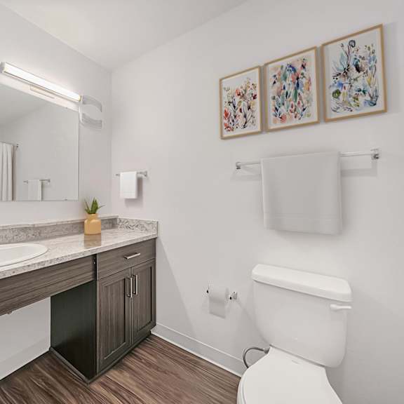 Thumbnail 8 of 11 A bathroom with a large vanity at Dodson Pointe Apartment Homes, Rogers