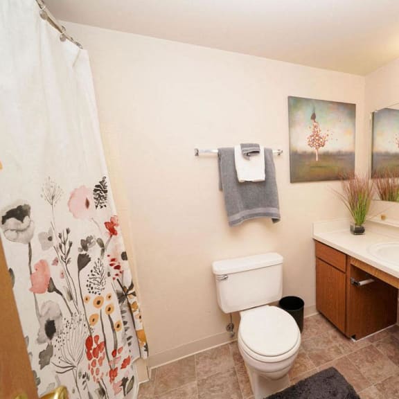 Thumbnail 8 of 10 A bathroom with a large counter at Emerald Park Apartments, Kalamazoo