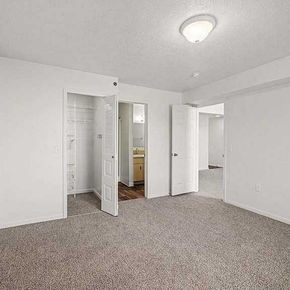 Thumbnail 17 of 19 A bedroom with a carpeted floor and a walk-in closet and ensuite bathroom  at West Hampton Park Apartment Homes, Nebraska, 68022