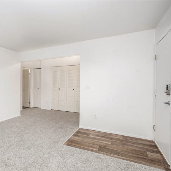 Thumbnail 4 of 17 an empty living room with doors to a closet at Fairlane Apartments in Springfield, Michigan 49037