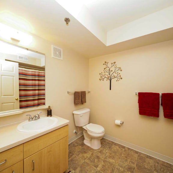 Thumbnail 6 of 9 primary bathroom at Fieldstream Apartment Homes, Iowa, 50023