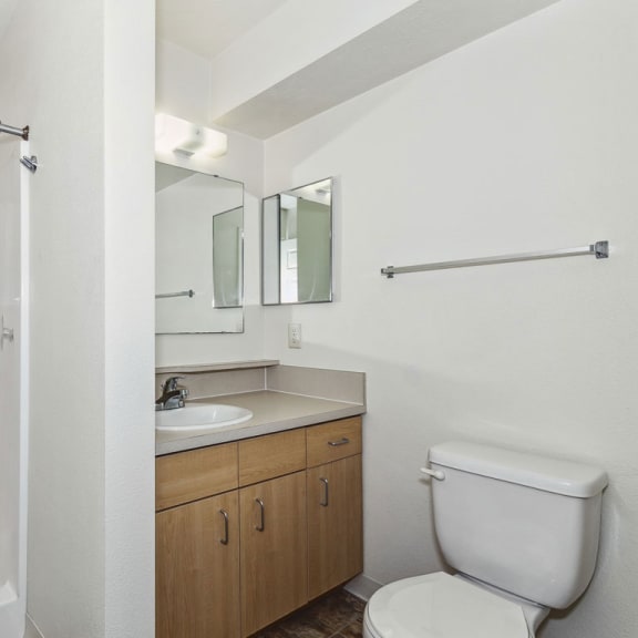 Thumbnail 12 of 12 second bathroom with walk in shower at Fieldstream Apartment Homes, Iowa, 50023
