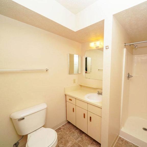 Thumbnail 12 of 12 a bathroom with a sink toilet and a shower at Gull Prairie/Gull Run Apartments and Townhomes, Kalamazoo, MI