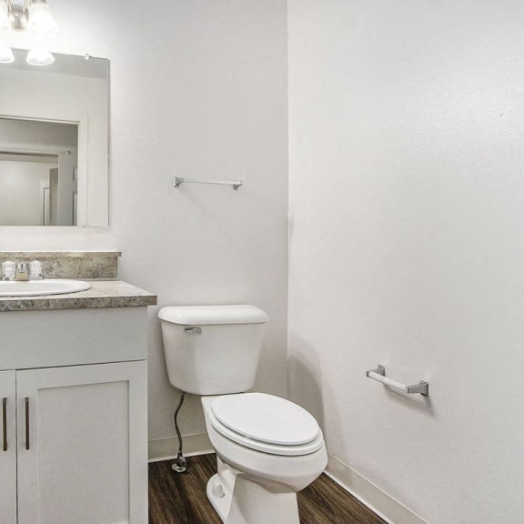 Thumbnail 13 of 28 an upgraded bathroom with a toilet and a sink at Gull Prairie/Gull Run Apartments and Townhomes, Kalamazoo, Michigan