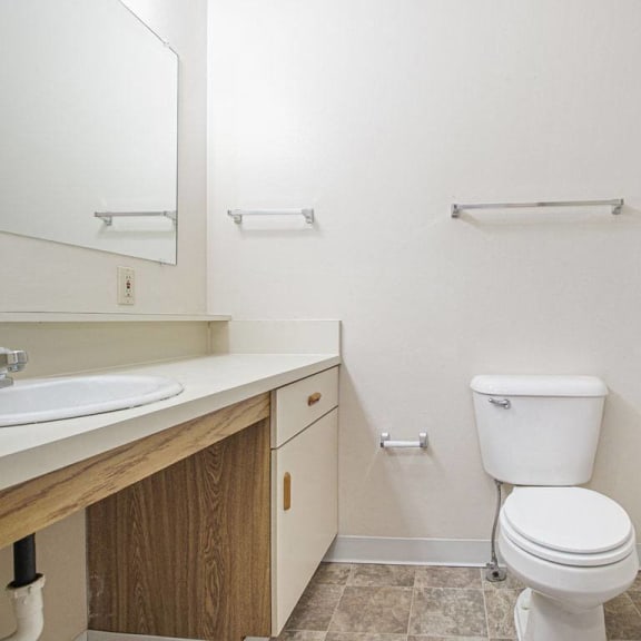 Thumbnail 9 of 14 master bathroom at Gull Prairie/Gull Run Apartments and Townhomes, Michigan