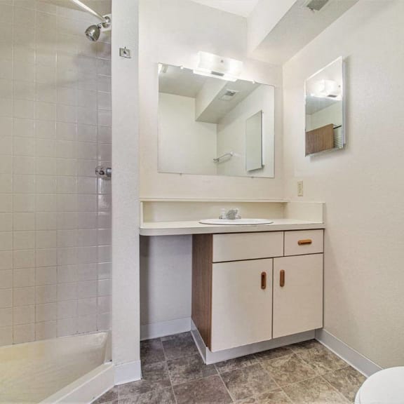 Thumbnail 14 of 14 a second bathroom with a walk in shower at Gull Prairie/Gull Run Apartments and Townhomes, Michigan