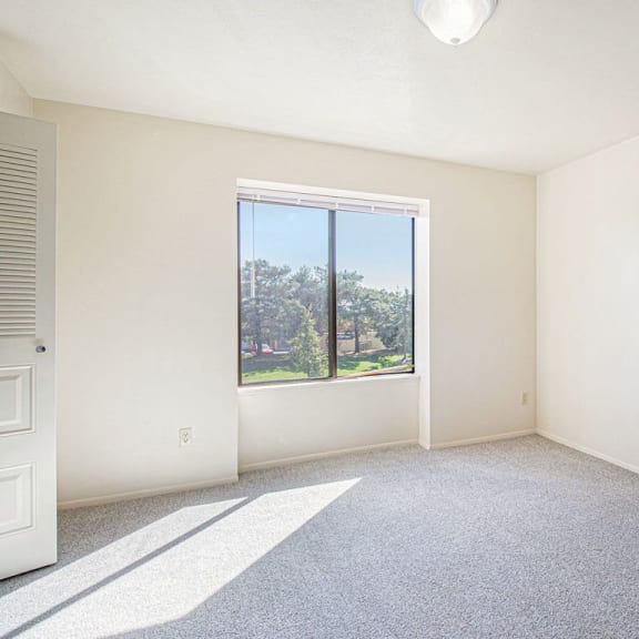 Thumbnail 10 of 14 bedroom with a large window and carpet at Gull Prairie/Gull Run Apartments and Townhomes, Michigan