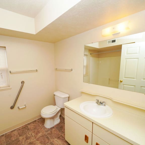 Thumbnail 6 of 7 a bathroom with a toilet and a sink and a mirror  at Hurwich Farms Apartments, South Bend