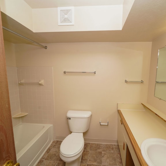 Thumbnail 12 of 17 a bathroom with a toilet and a sink and a bath tub  at Hurwich Farms Apartments, South Bend, 46628