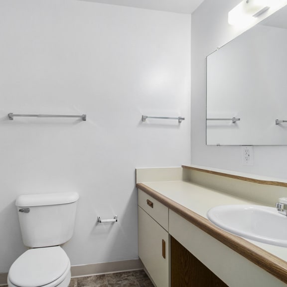 Thumbnail 11 of 17 primary bathroom with a sink toilet and a mirror a bathroom with a toilet and a sink and a mirror at Hurwich Farms Apartments, Indiana