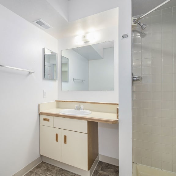 Thumbnail 17 of 17 a bathroom with a walk in shower at Hurwich Farms Apartments, Indiana