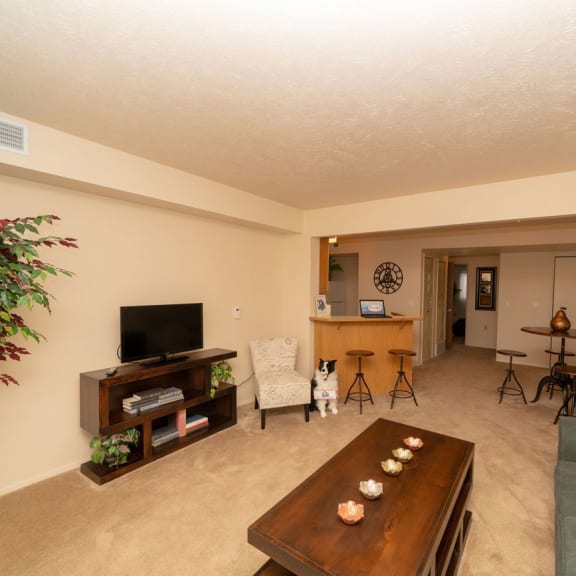 Thumbnail 5 of 9 a living room with a couch and a table  at Indian Lakes Apartments, Indiana